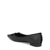 Esmira Pointed Toe Ballet Flat