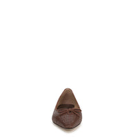 Esmira Pointed Toe Ballet Flat