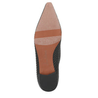 Esmira Pointed Toe Ballet Flat
