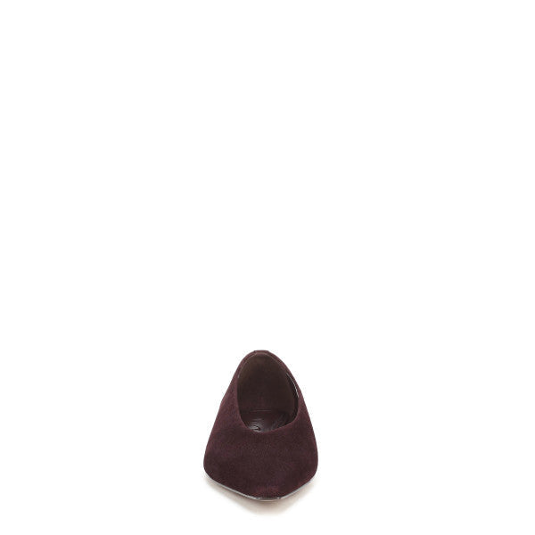Emory Pointed Toe Ballet Flat